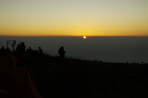 _MG_5415.jpg