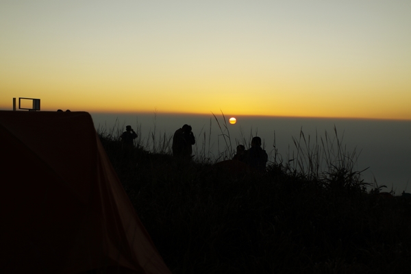 _MG_5420.jpg