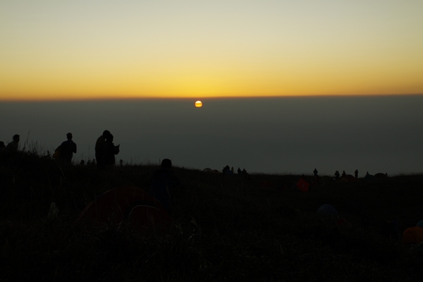_MG_5423.jpg