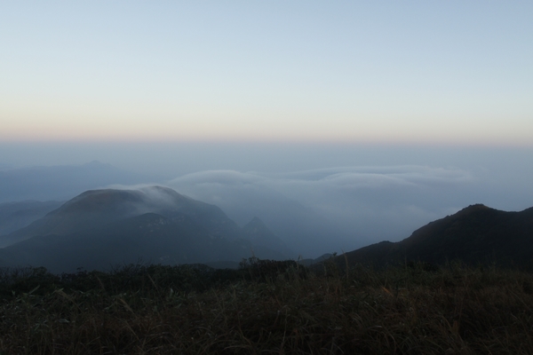 _MG_5546.jpg