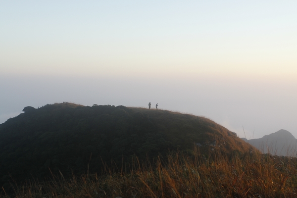 _MG_5558.jpg