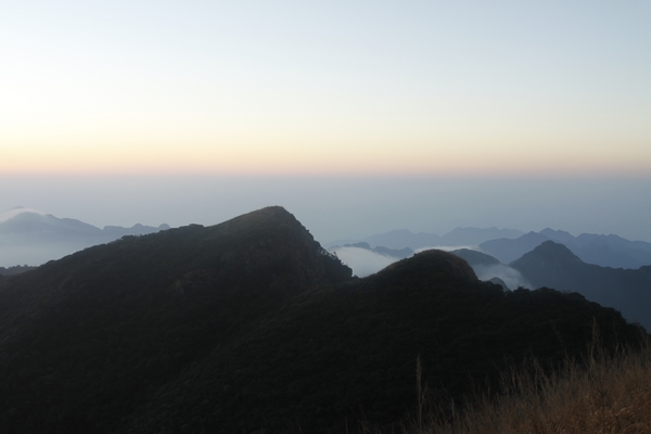 _MG_5537.jpg