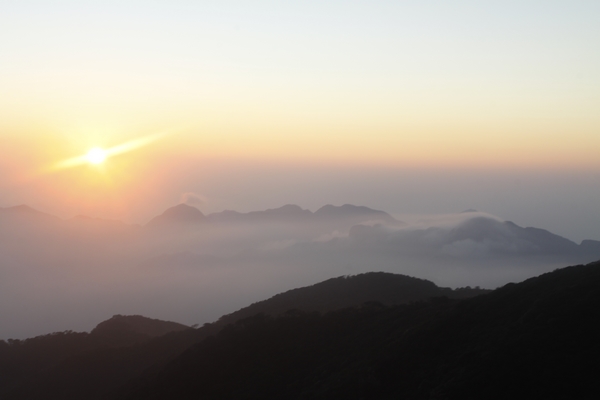 _MG_5542.jpg