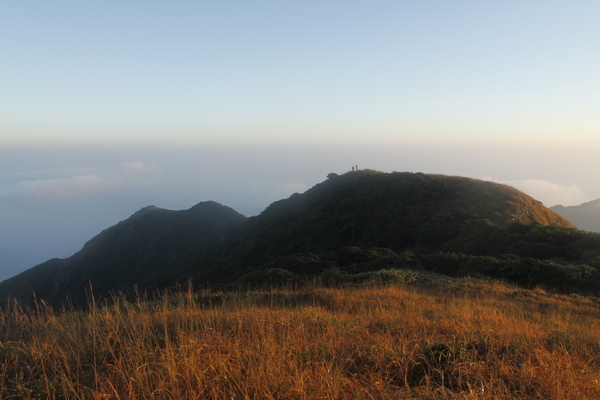 _MG_5582.jpg
