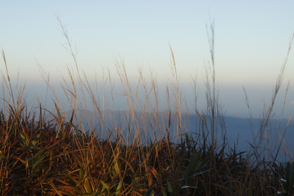 _MG_5591.jpg