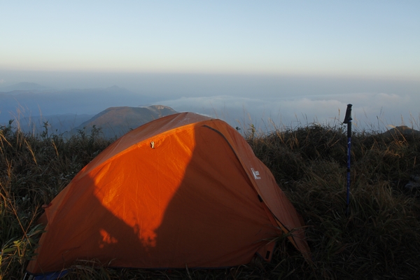 _MG_5595.jpg