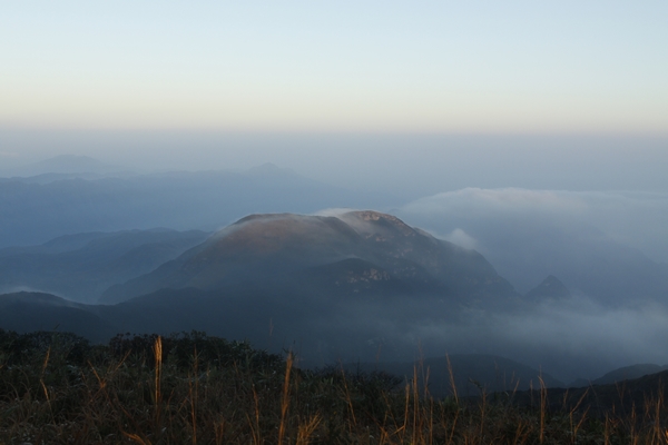 _MG_5577.jpg