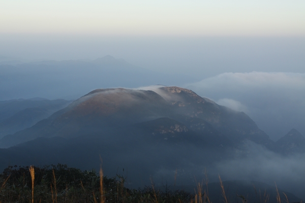 _MG_5579.jpg
