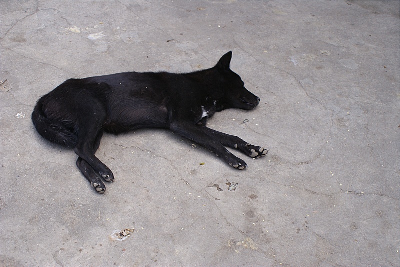 DSC09665.JPG