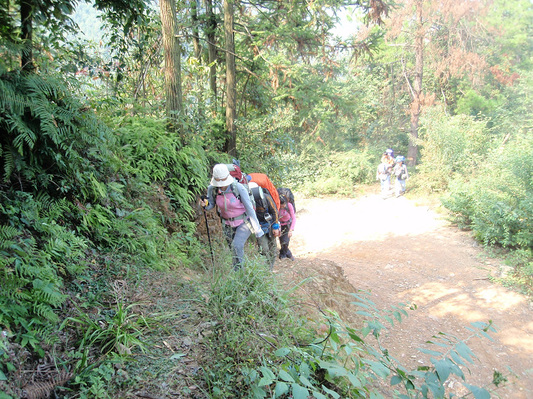 PA174714.JPG