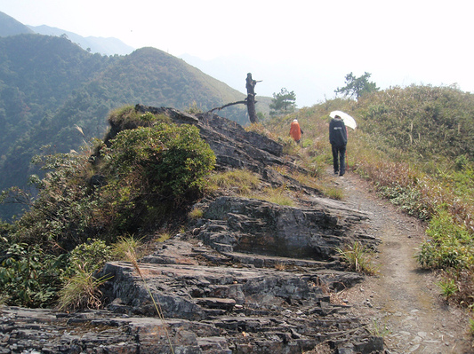 PA174753.JPG