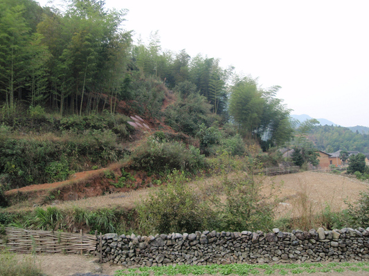 PA184805.JPG