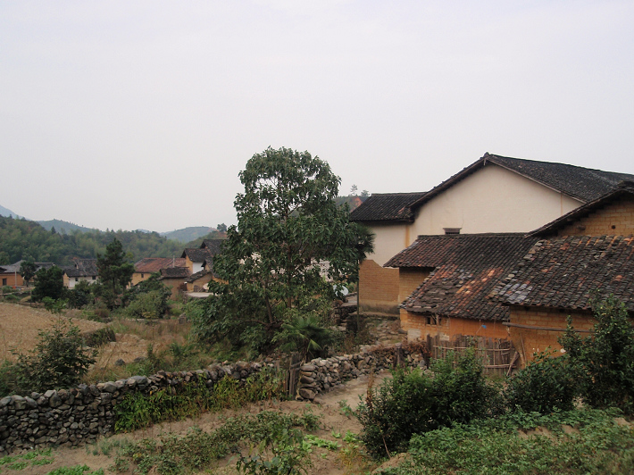 PA184806.JPG