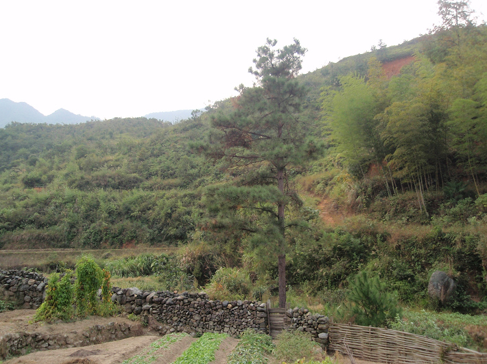 PA184808.JPG