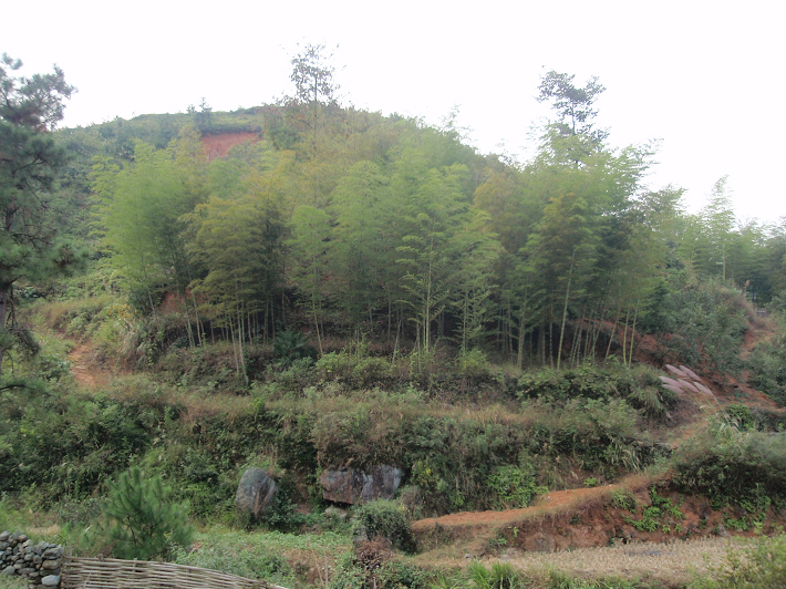 PA184809.JPG