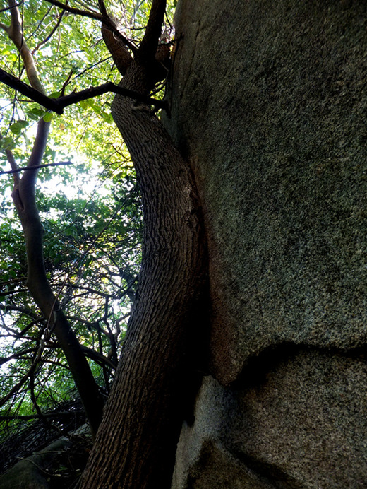 DSCF2760_����_����.jpg