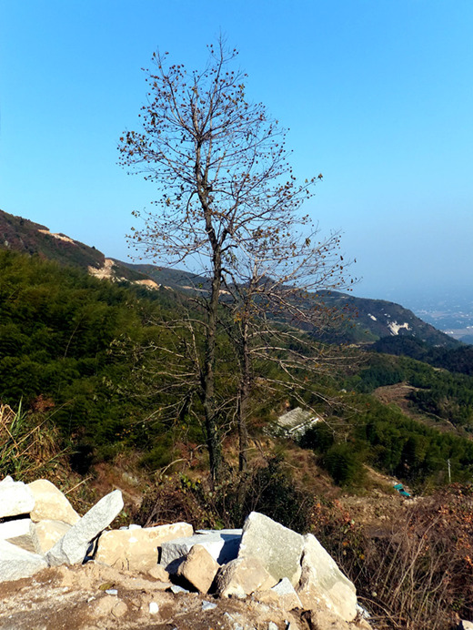 DSCF2819_����_����.jpg