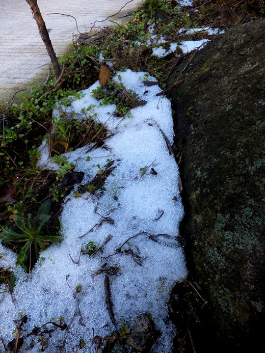 DSCF2909_����_����.jpg