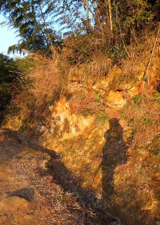 DSCF2939_����_����.jpg