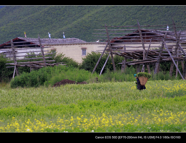 _MG_2376.jpg