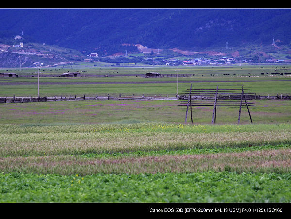 _MG_2378.jpg