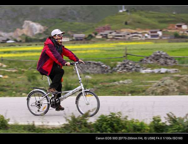 _MG_2386.jpg