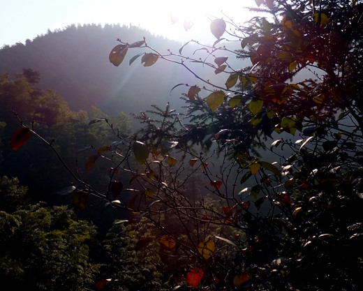 DSCF2985_����.jpg