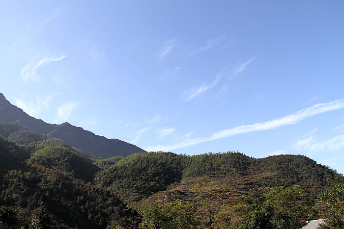 IMG_3067.jpg