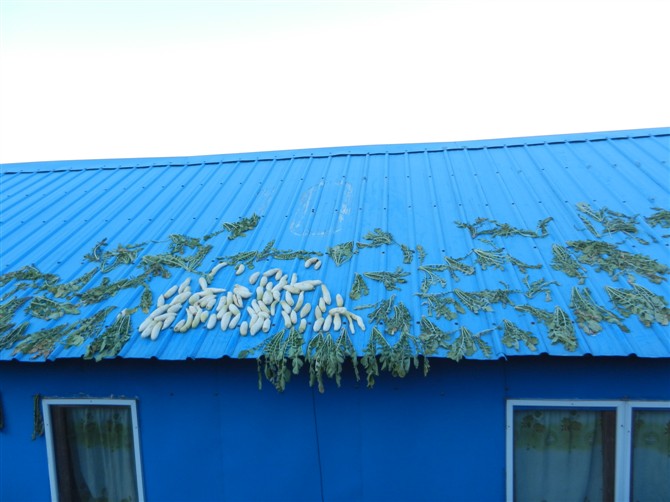 psbCA3L6KF4.jpg