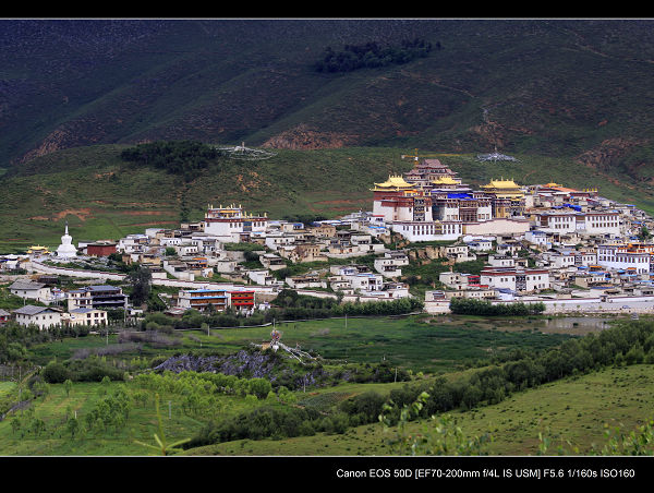_MG_2426.jpg