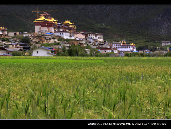 _MG_2475.jpg