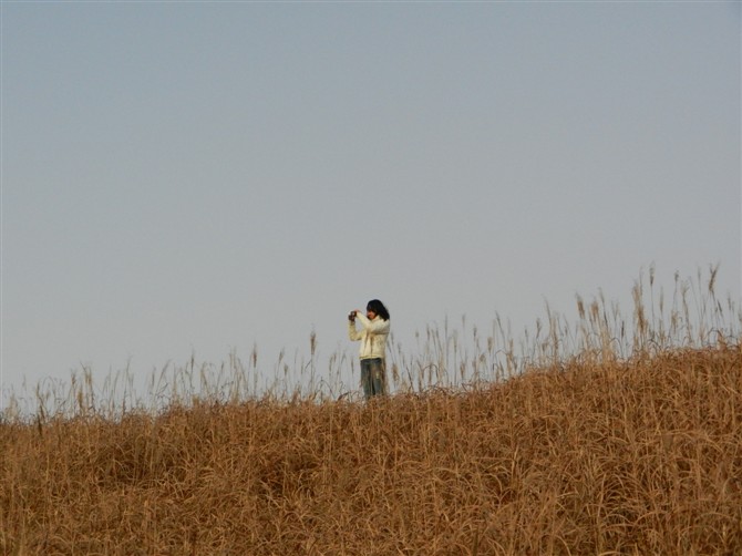 psbCAMA4GHM.jpg