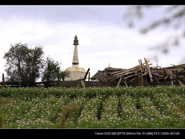 _MG_2487.jpg