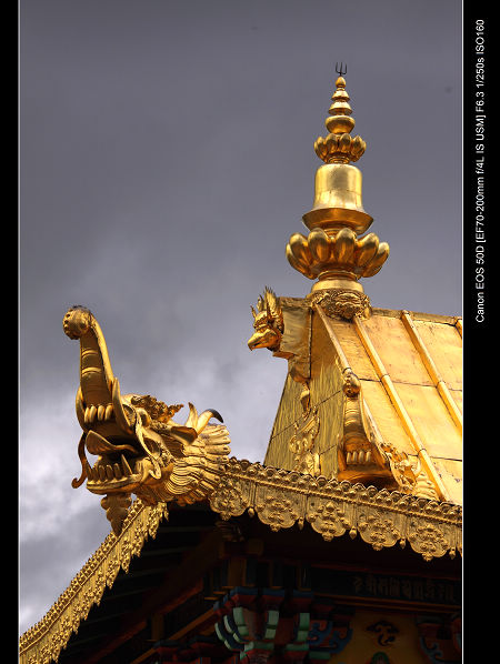 DPP_0434.jpg