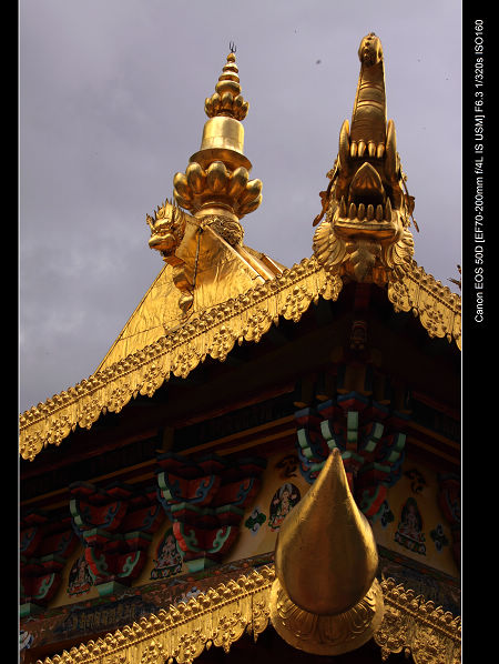 DPP_0437.jpg