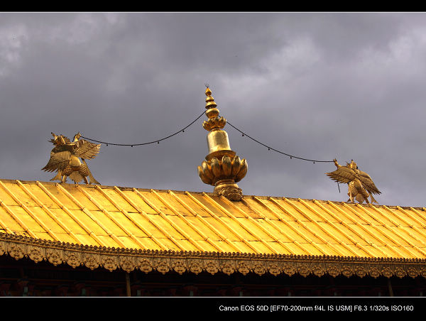 DPP_0439.jpg