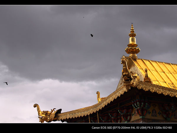 DPP_0443.jpg
