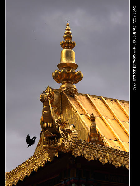 DPP_0448.jpg