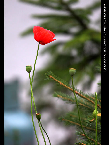 DPP_0462.jpg