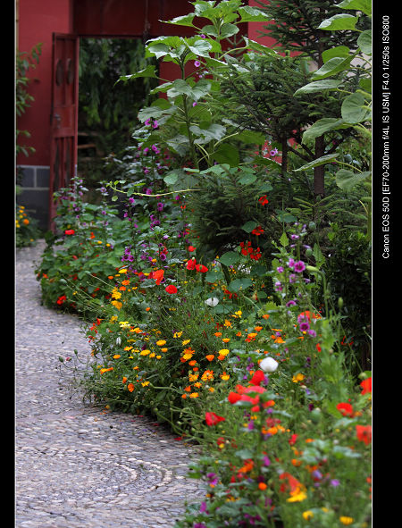 DPP_0464.jpg