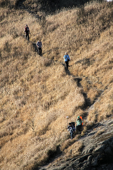 IMG_3194.jpg