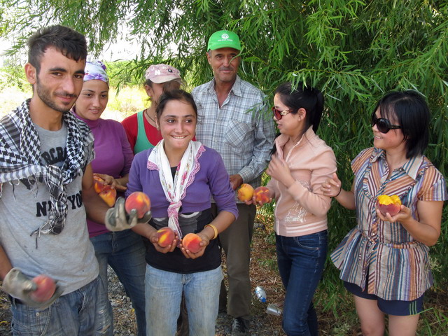 ��Ƭ ף340.jpg