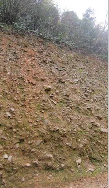 δ����.jpg