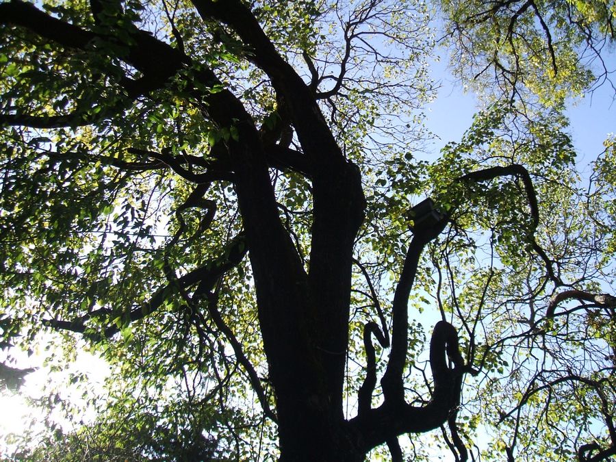 DSCF2790.JPG