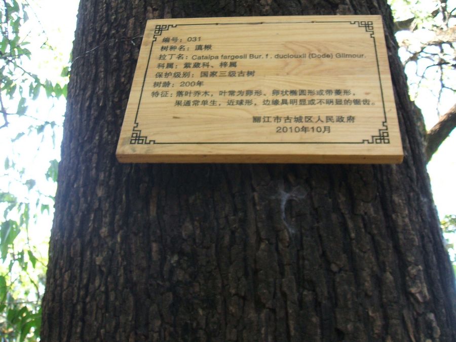 DSCF2791.JPG