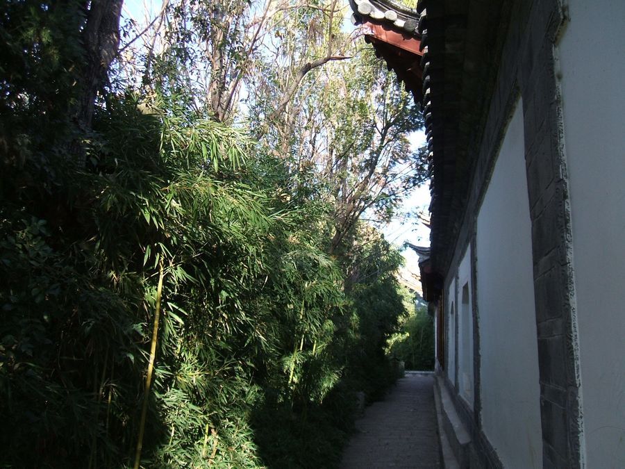 DSCF2792.JPG