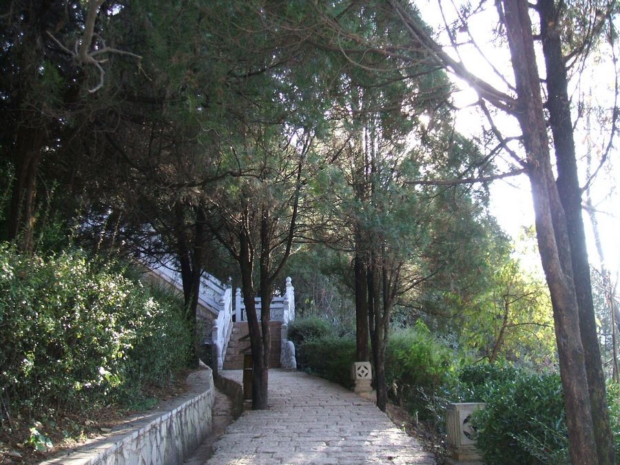 DSCF2793.JPG