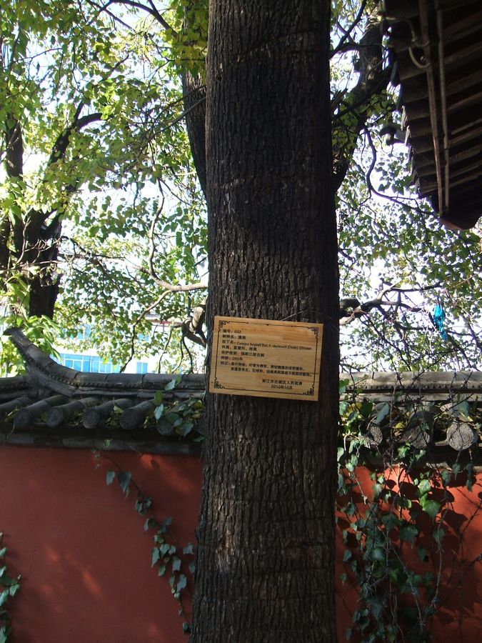 DSCF2787.JPG
