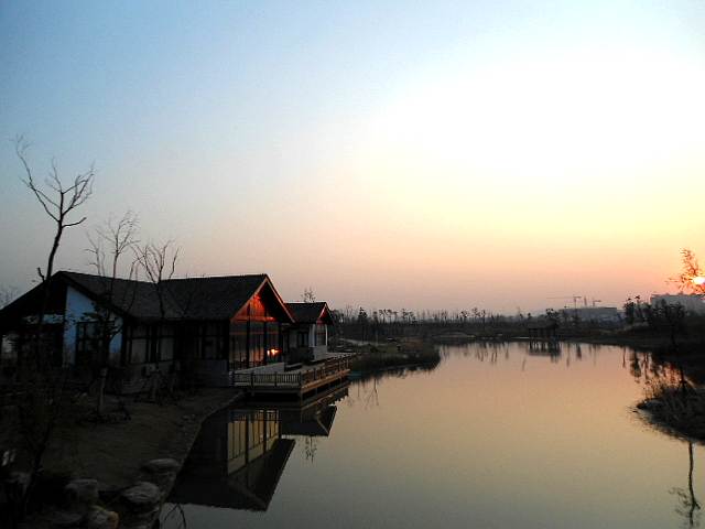 DSC03720fu.jpg