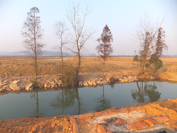 DSCF3359_����.jpg